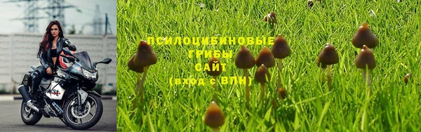 наркотики Алзамай